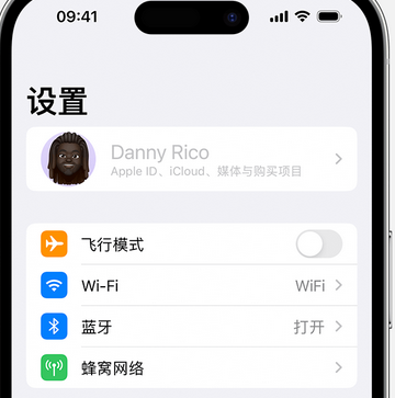 青阳appleID维修服务iPhone设置中Apple ID显示为灰色无法使用