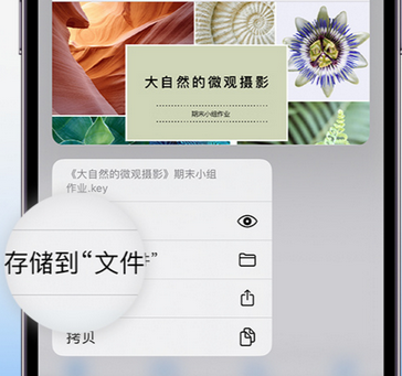 青阳apple维修中心分享iPhone文件应用中存储和找到下载文件