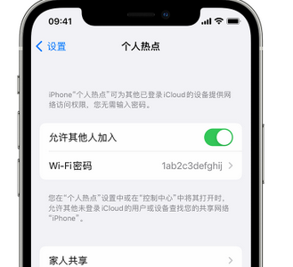 青阳apple服务站点分享iPhone上个人热点丢失了怎么办 