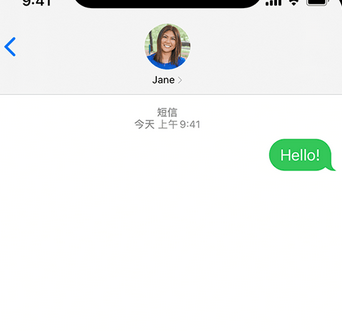 青阳apple维修iPhone上无法正常发送iMessage信息