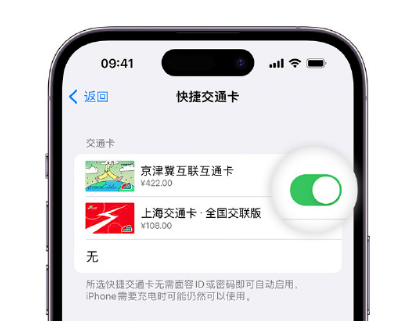 青阳apple维修点分享iPhone上更换Apple Pay快捷交通卡手绘卡面 