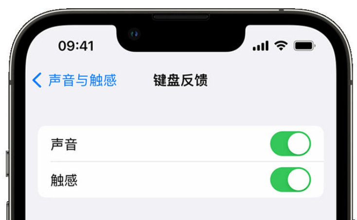 青阳苹果手机维修分享iPhone 14触感键盘使用方法 