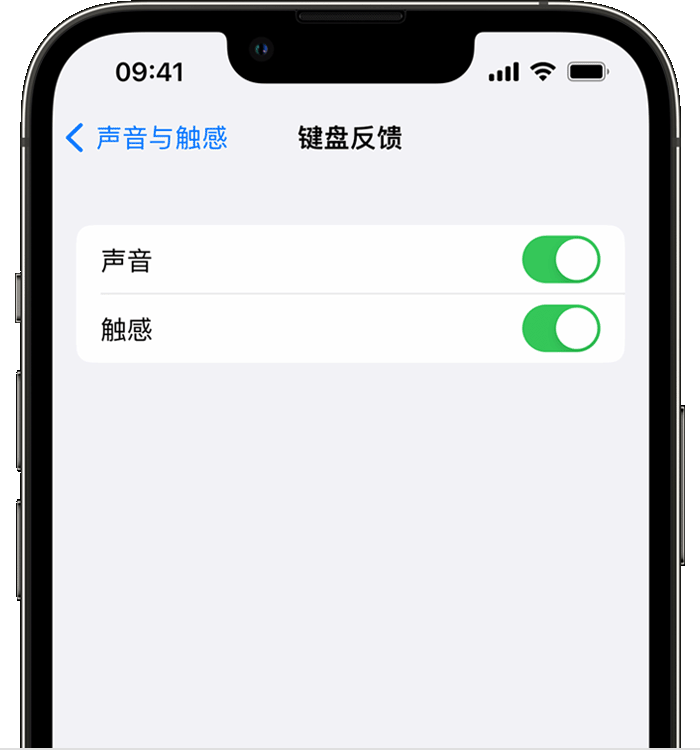 青阳苹果14维修店分享如何在 iPhone 14 机型中使用触感键盘 