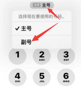 青阳苹果14维修店分享iPhone 14 Pro Max使用副卡打电话的方法 