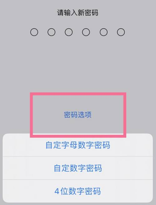 青阳苹果14维修分享iPhone 14plus设置密码的方法 