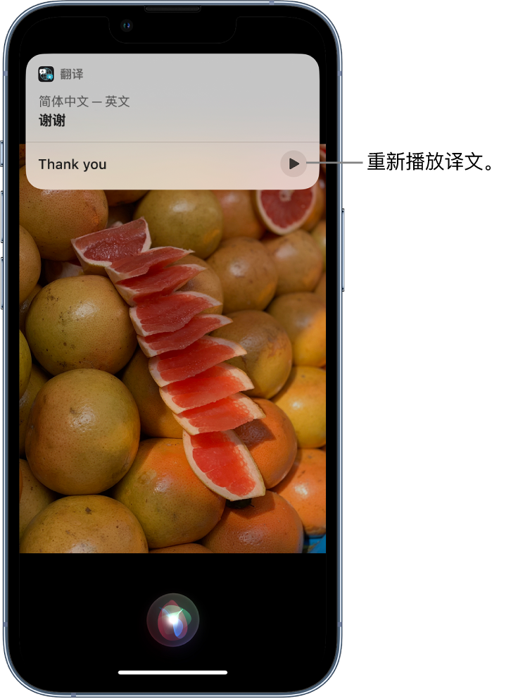 青阳苹果14维修分享 iPhone 14 机型中使用 Siri：了解 Siri 能帮你做什么 