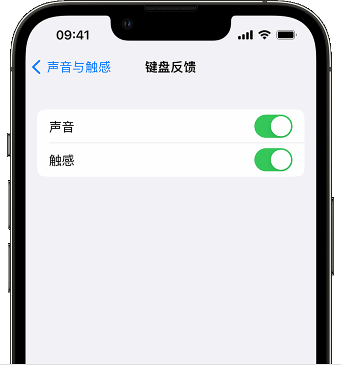 青阳苹果14维修分享iPhone 14 系列机型如何开启键盘声音或触感反馈 