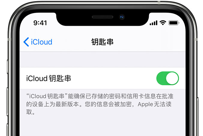 青阳苹果手机维修分享在 iPhone 上开启 iCloud 钥匙串之后会储存哪些信息 