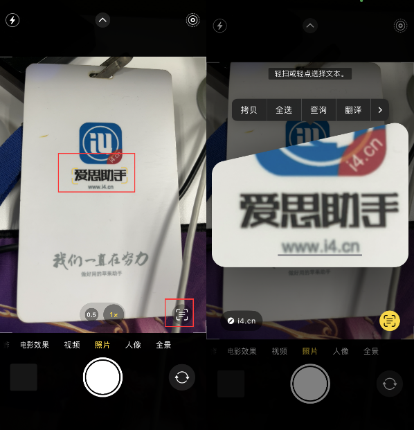青阳苹果手机维修分享升级iOS 16后如何通过相机翻译文本 