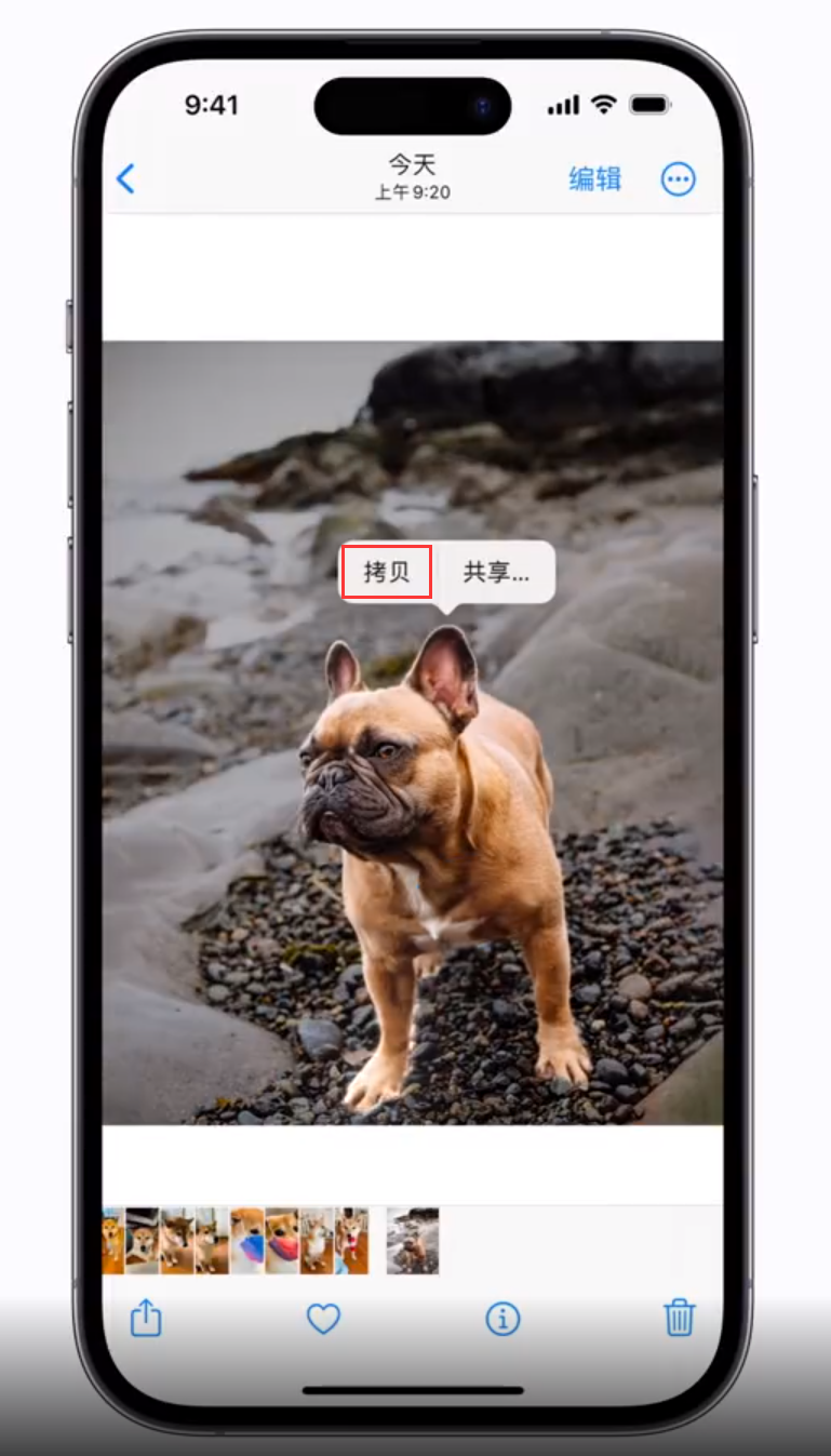 青阳苹果手机维修分享 iOS 16 自带一键抠图功能 