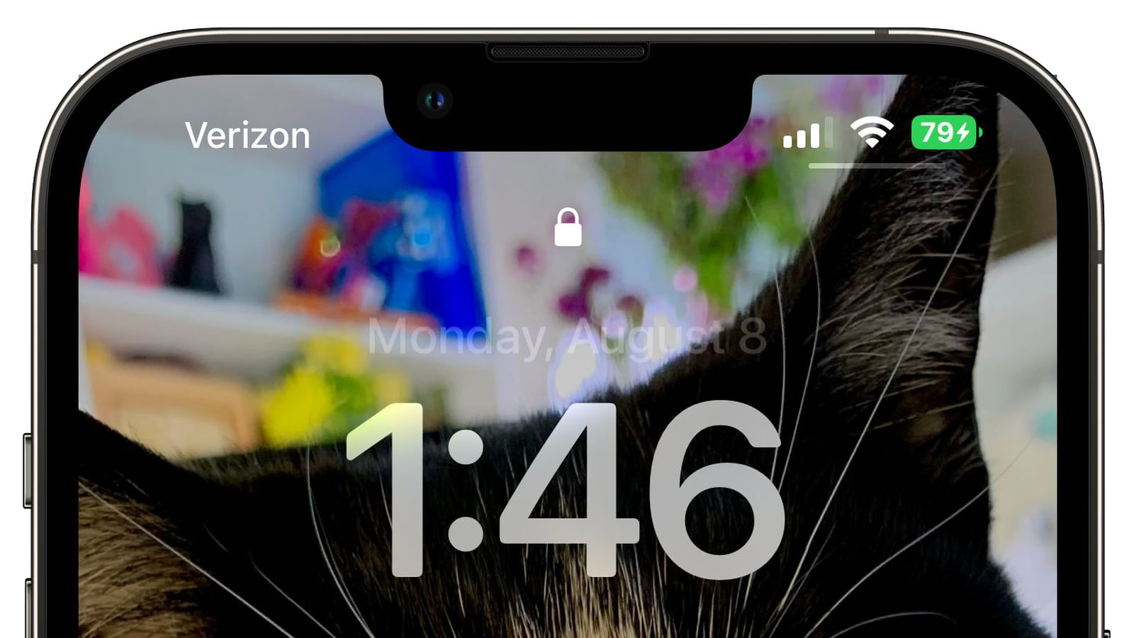 青阳苹果手机维修分享iOS 16 beta 5 支持状态栏显示电池百分比，如何开启？支持哪些机型 