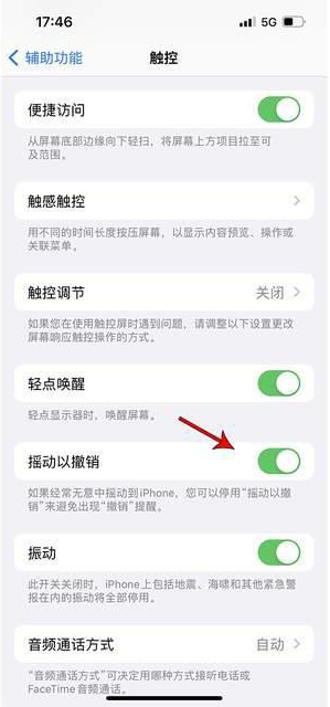 青阳苹果手机维修分享iPhone手机如何设置摇一摇删除文字 