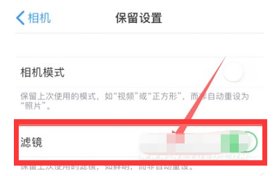 青阳苹果13维修分享iPhone13拍照有绿点是怎么回事 