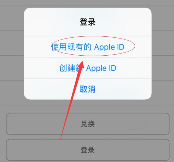 青阳苹果手机维修分享两台iPhone设备可以同时登录一个Apple ID吗 