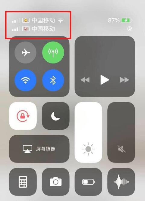 青阳苹果手机维修分享为 iPhone 12 双卡设置标签 